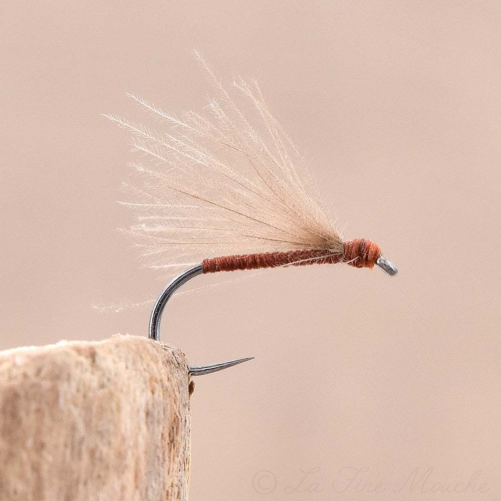 Dry Fly - CDC Brown Fratnik Simply Good