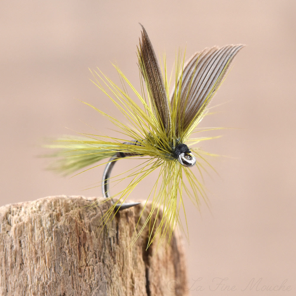 Dry Fly - Blue Winged Olive