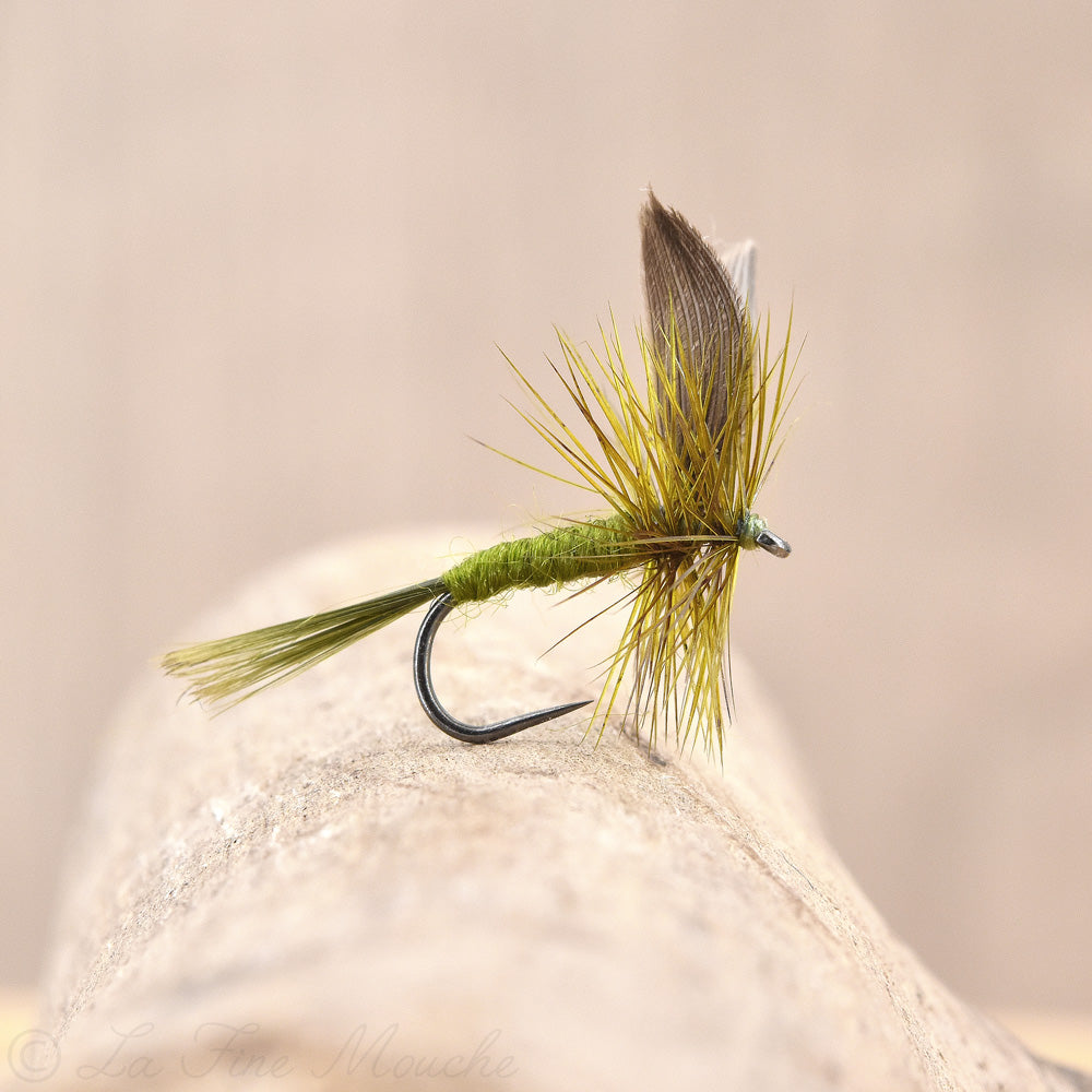 Mouche Sèche Blue Winged Olive