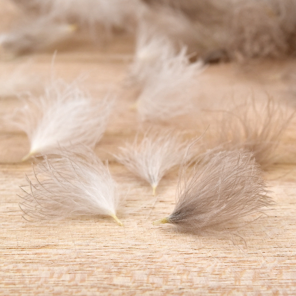 PUFF CDC Feathers – Cul de Canard ~100 Feathers