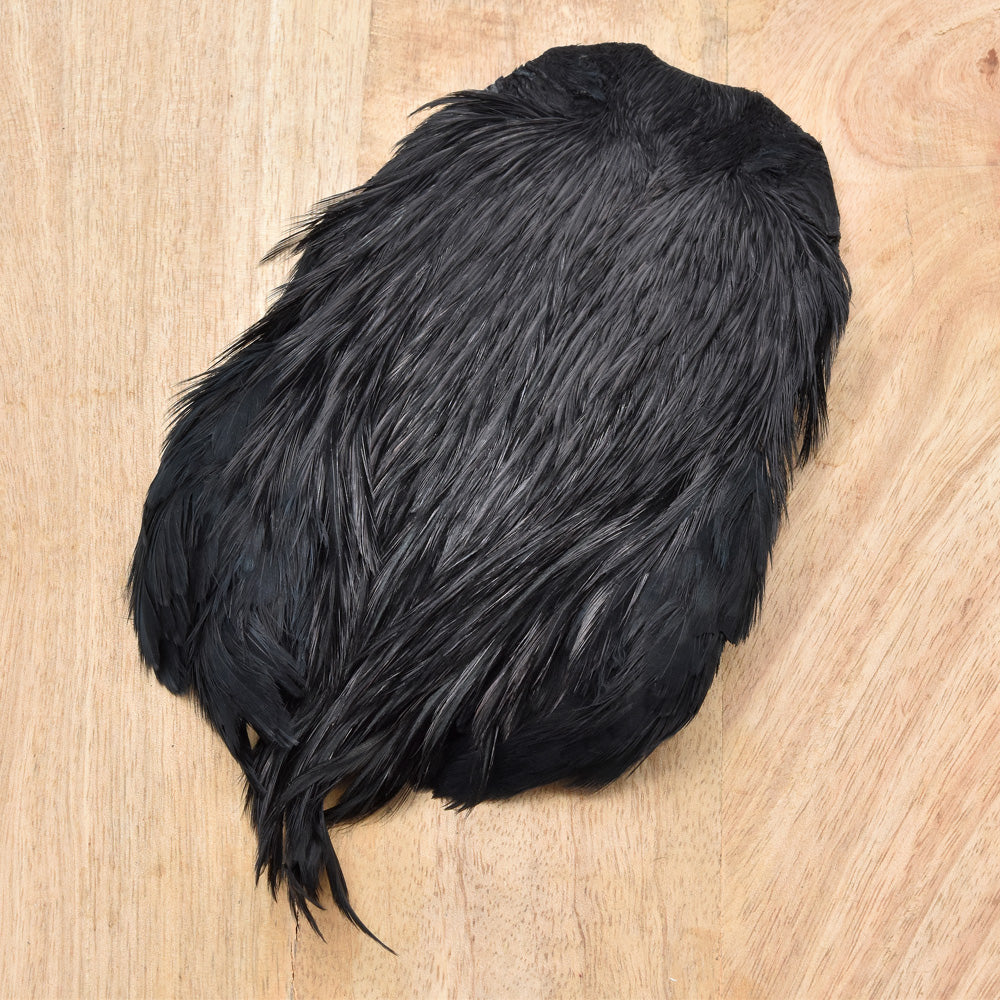 Rooster Neck Grade A+