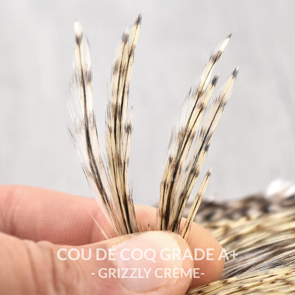 Rooster Neck Grade A+