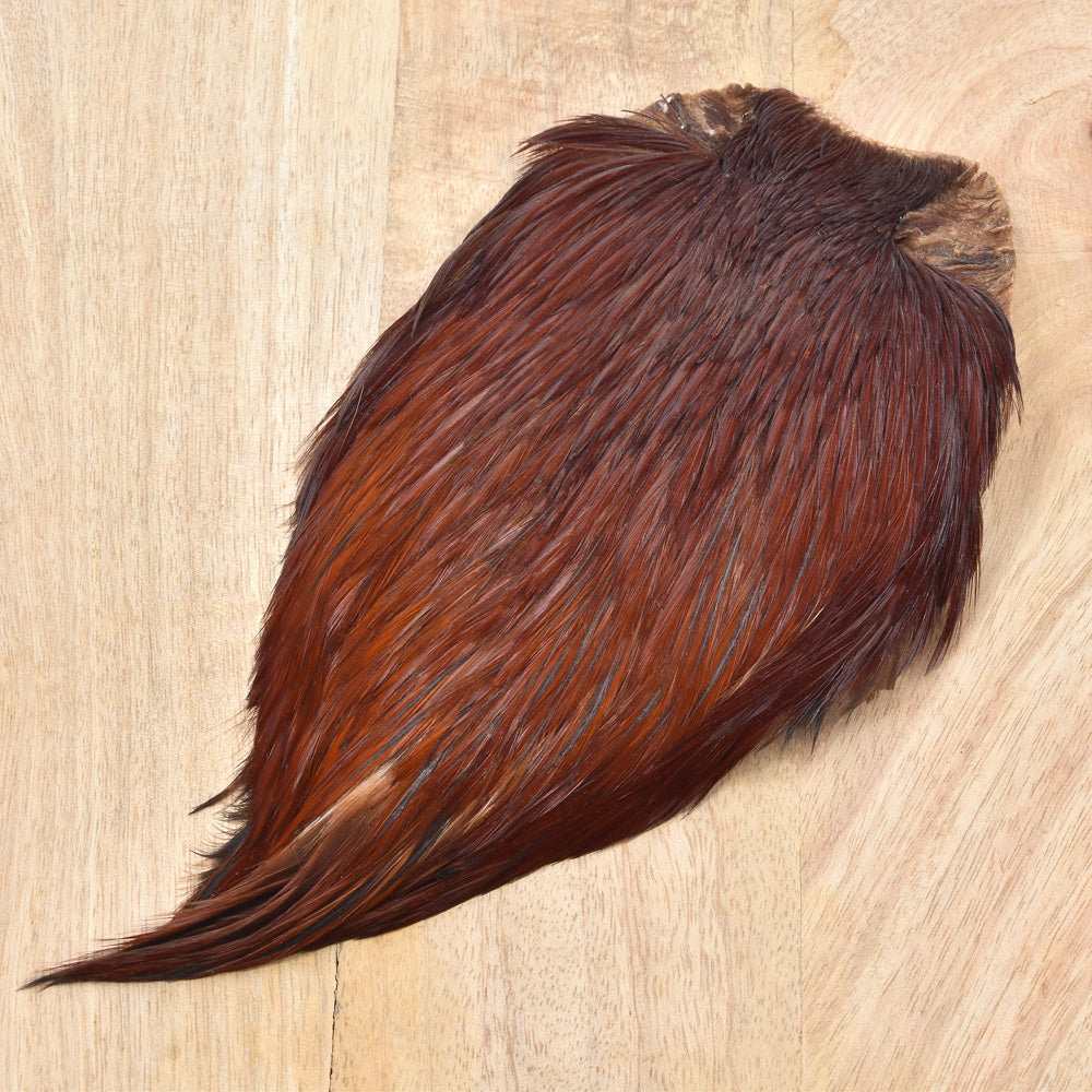 Rooster Neck Grade A+