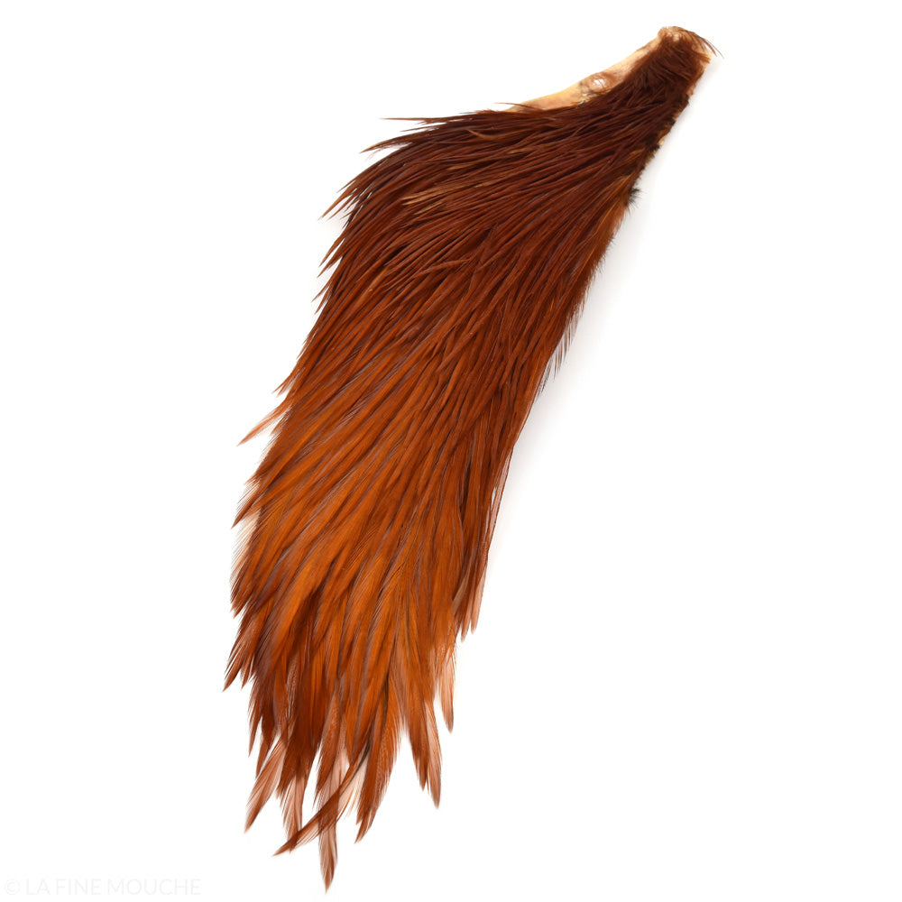 Half Genetic Rooster Cape - Red Brown - Grade 3