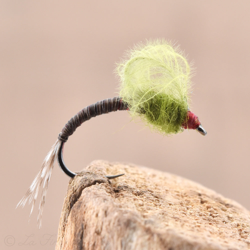 Dry Fly - CDC Olive Emerging