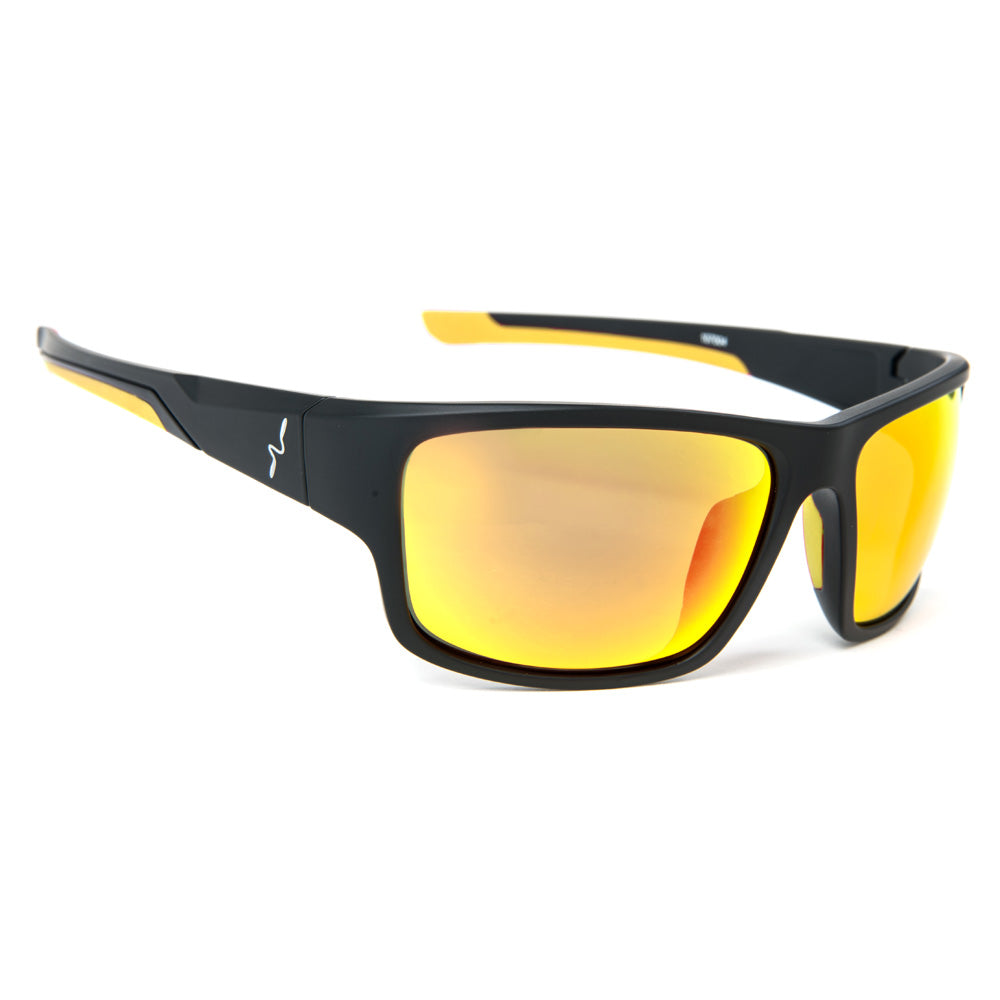 Lunettes Polarisantes Experience de Guideline