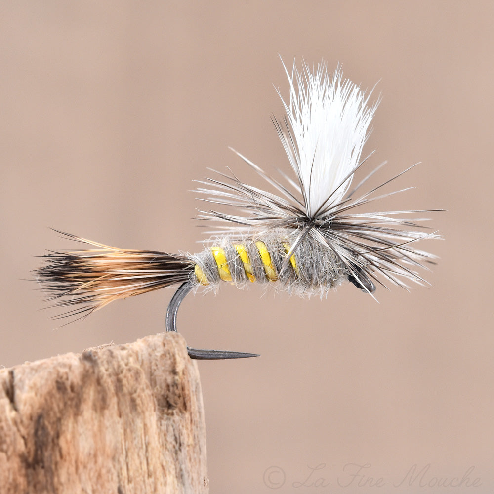 Gold Ribbed Hare’s Ear Parachute