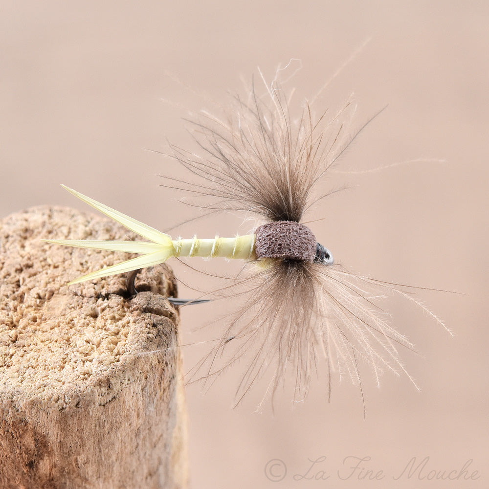 Dry Fly - Mauros Mayfly Dun