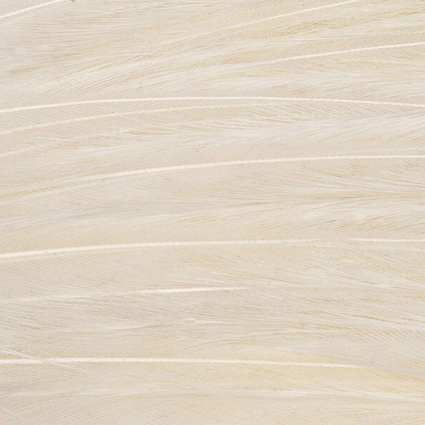 Mini Patch de Plumes de Coq Génétique - 10 Couleurs - Hotfly