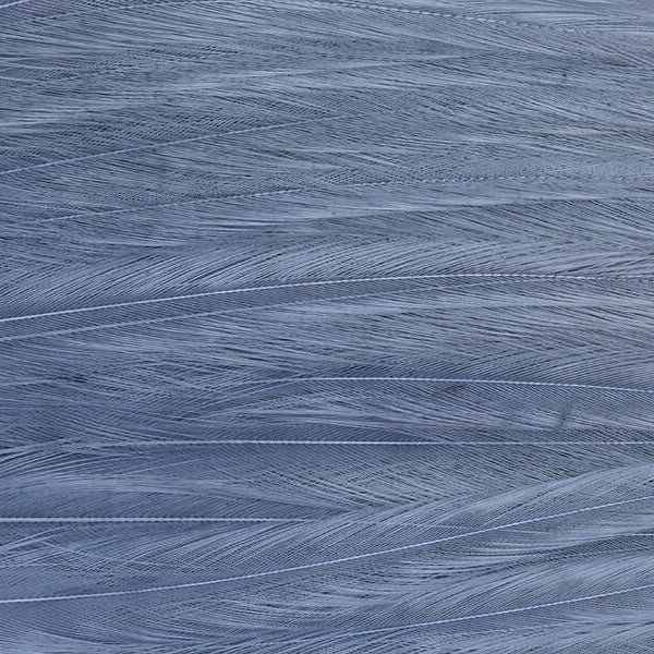 Mini Patch de Plumes de Coq Génétique - 10 Couleurs - Hotfly