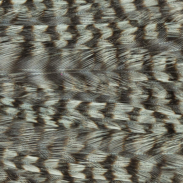 Mini Patch de Plumes de Coq Génétique - 10 Couleurs - Hotfly