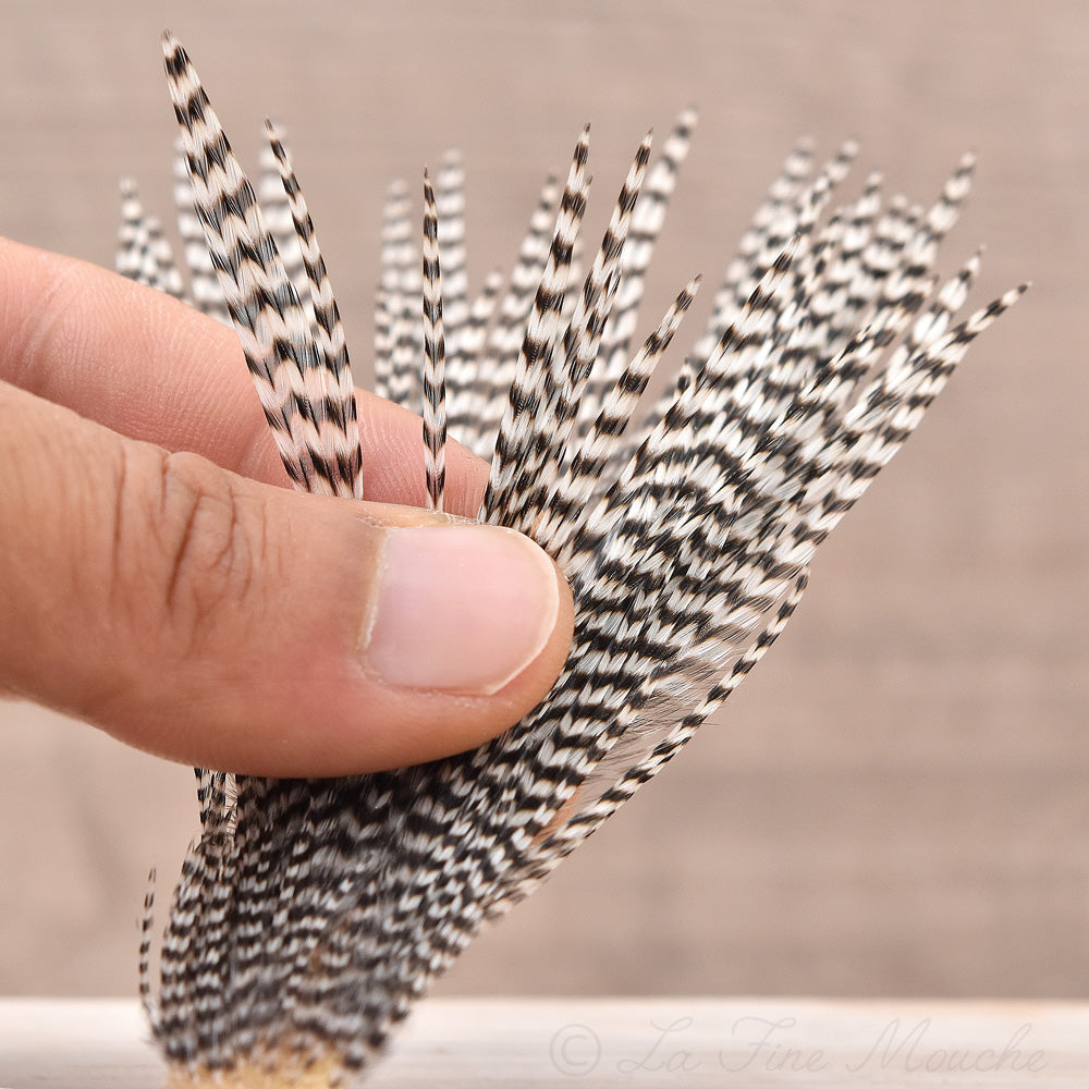 Mini Patch de Plumes de Coq Génétique - 10 Couleurs - Hotfly