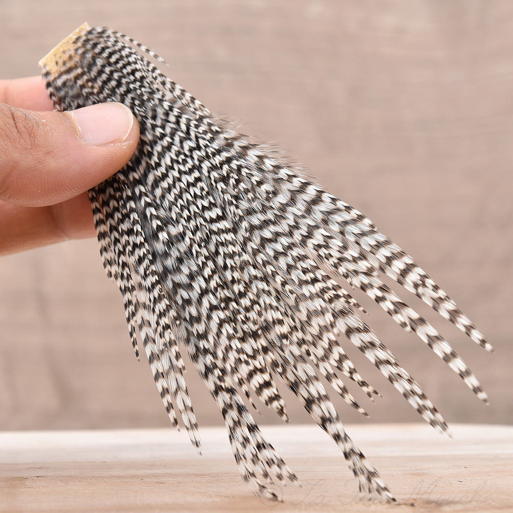 Mini Patch de Plumes de Coq Génétique - 10 Couleurs - Hotfly