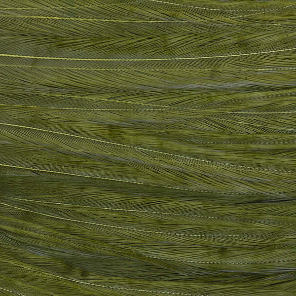 Mini Patch de Plumes de Coq Génétique - 10 Couleurs - Hotfly