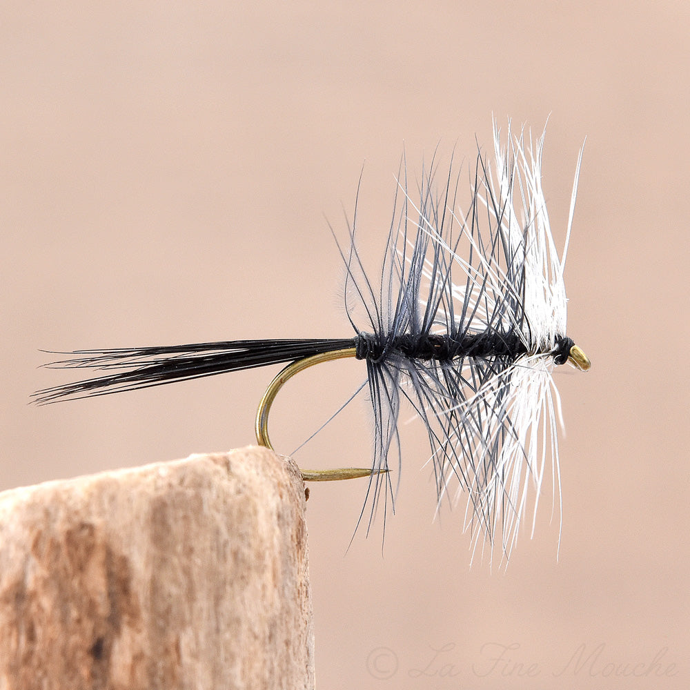 Mouche Sèche - Black Bicolore