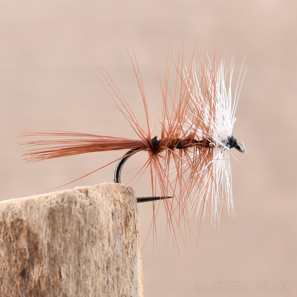 Mouche Sèche - Brown Bicolore