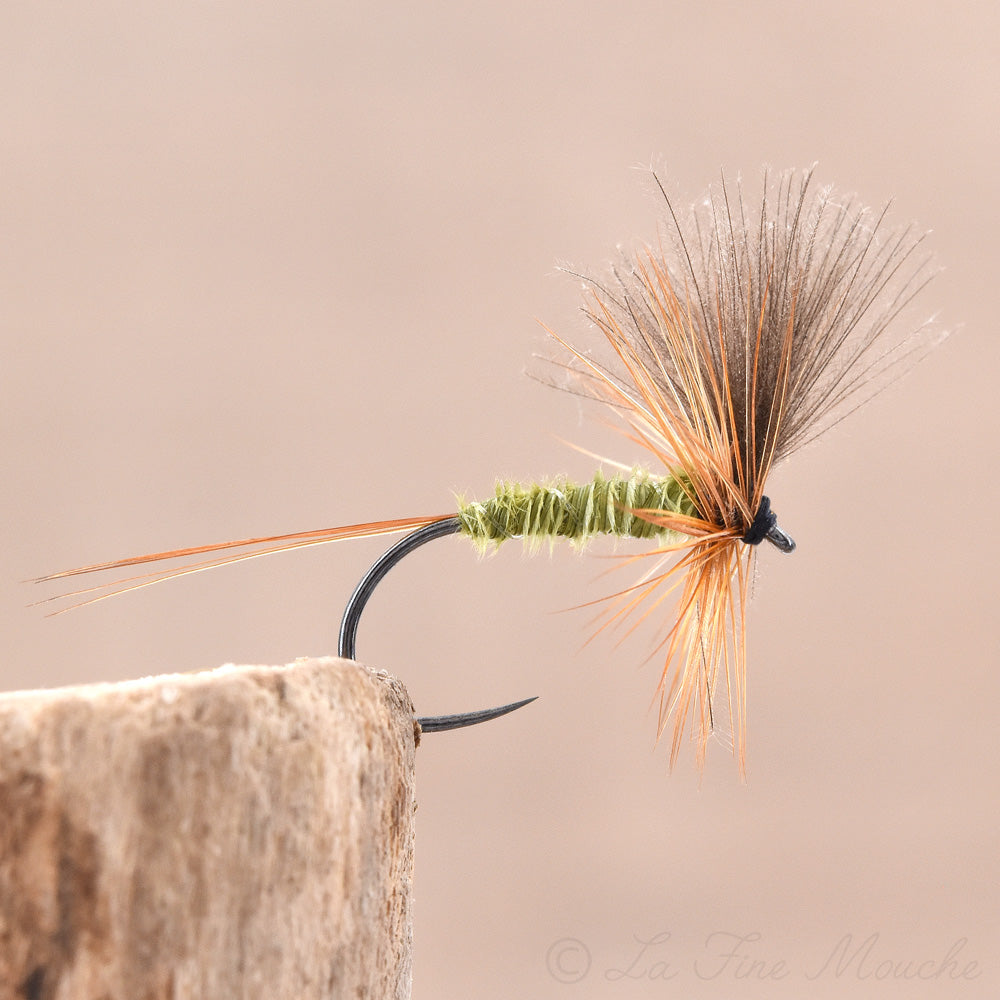 Dry Fly Body Olive Wing CDC