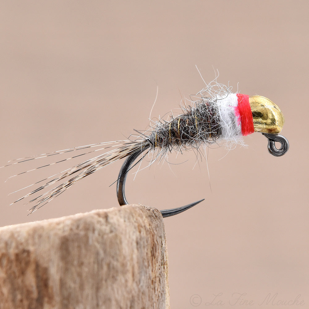 Javi Nymph Mark Hare's White Dream - Gold Tungsten Bead