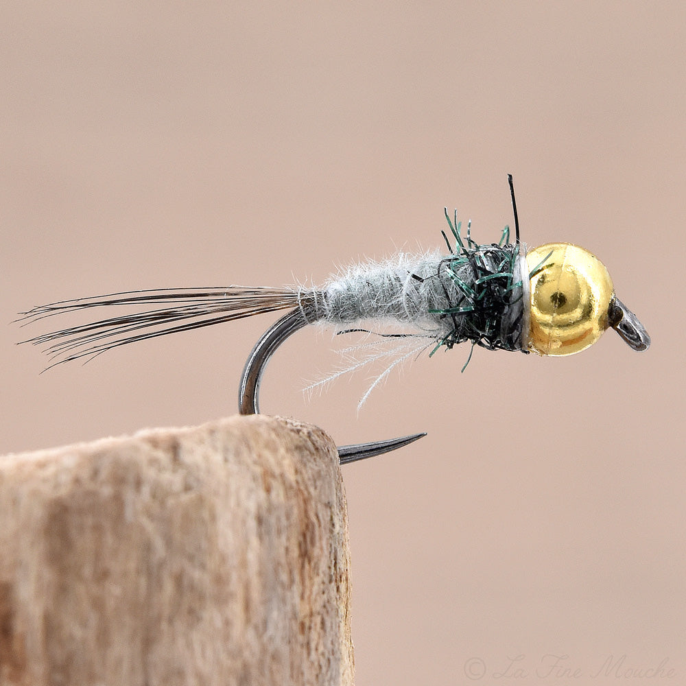 Nymph CDC Light Dun - Gold Tungsten Bead