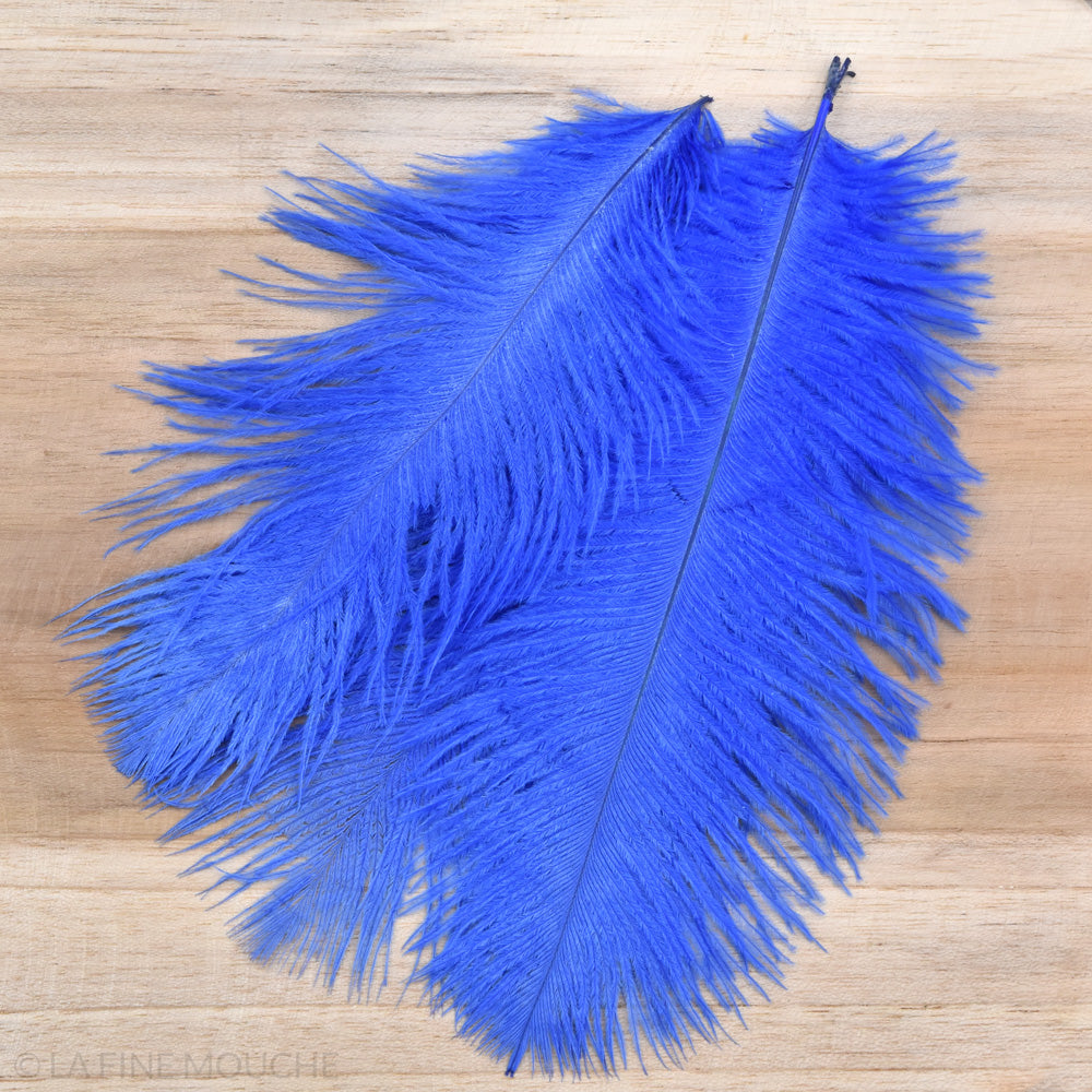 Ostrich Feathers 15-20cm - Pack of 10 feathers