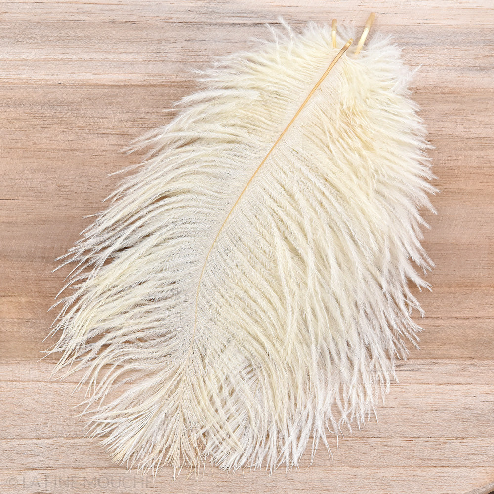 Ostrich Feathers 15-20cm - Pack of 10 feathers