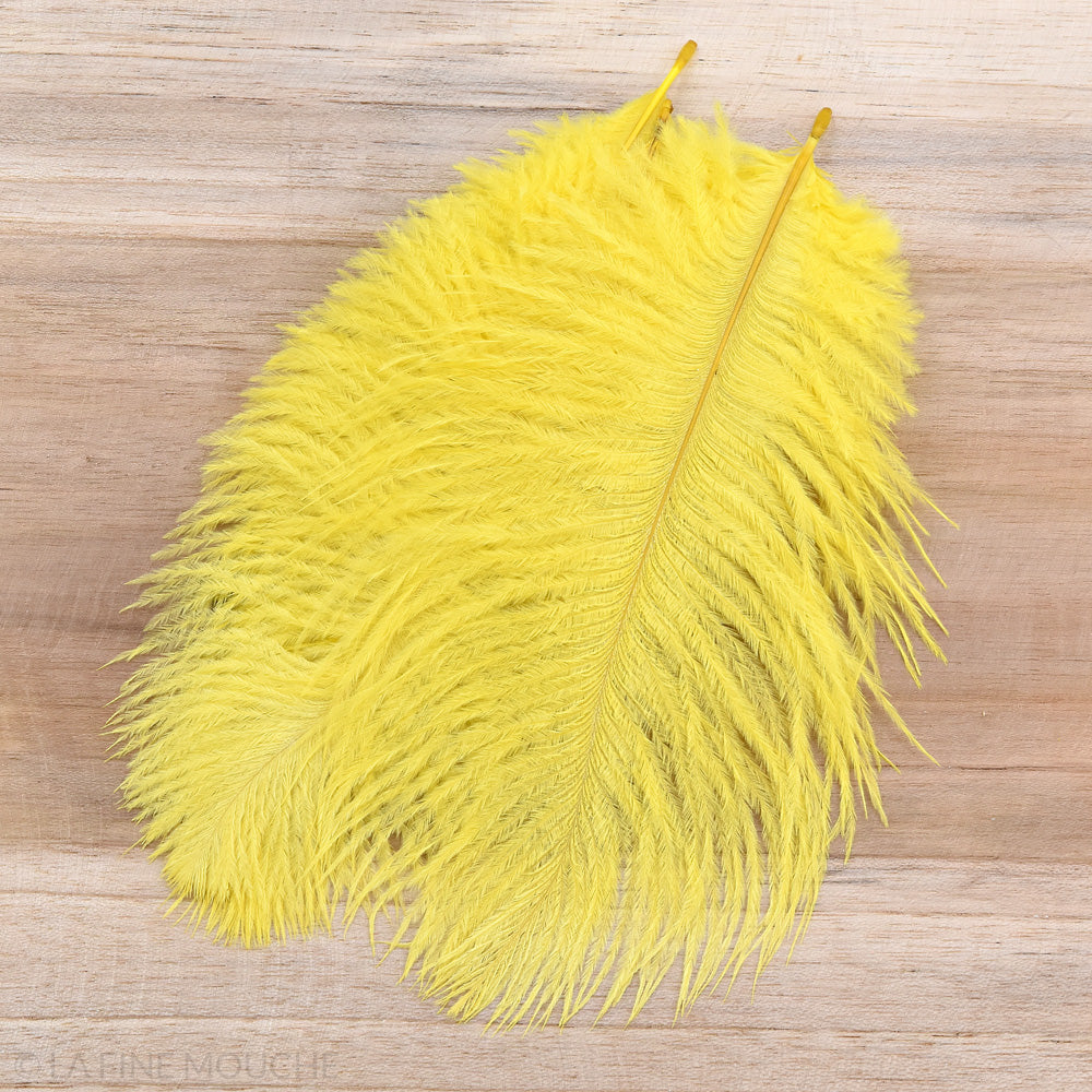 Ostrich Feathers 15-20cm - Pack of 10 feathers