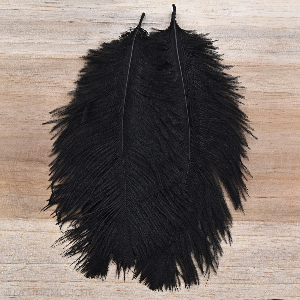 Ostrich Feathers 15-20cm - Pack of 10 feathers