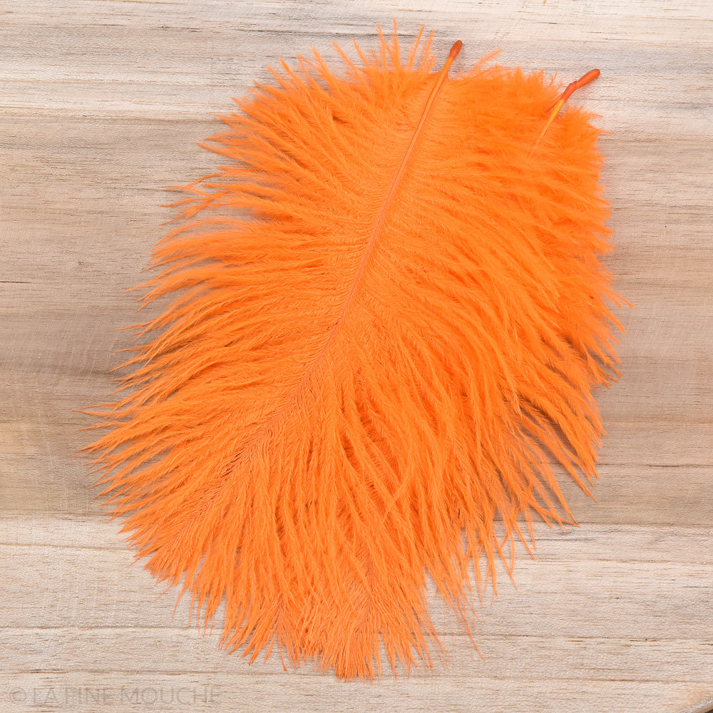 Plumes d'Autruche 15-20cm - Lot de 10 plumes