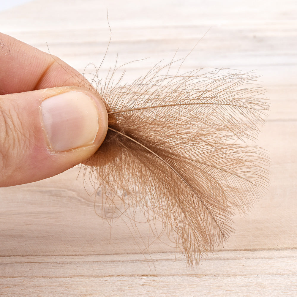 Plumes CDC - Cul de Canard - 1 Gramme - 8 Couleurs