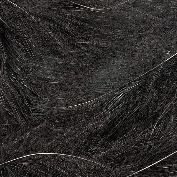 Plumes CDC - Cul de Canard - 1 Gramme - 8 Couleurs