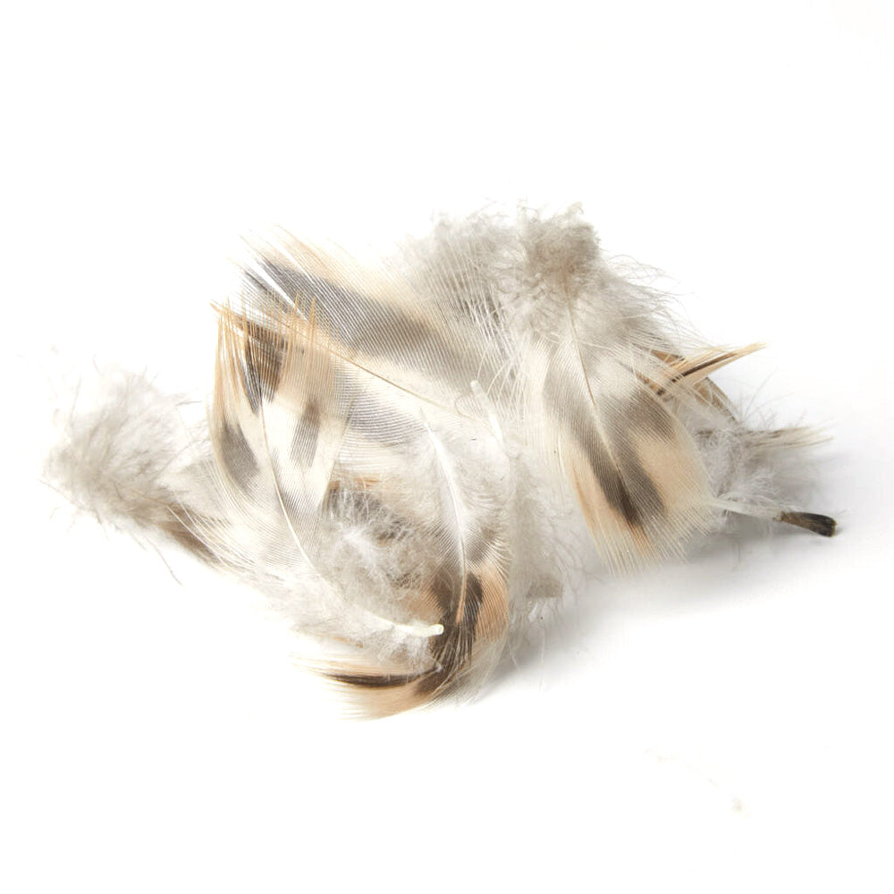 Plumes de Flanc de Cane - JMC