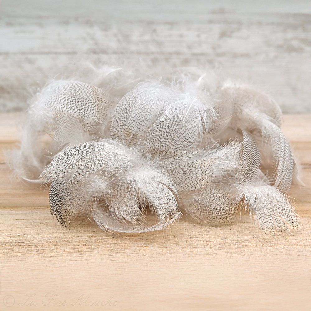 Duck Breast Feathers - Mallard Drake