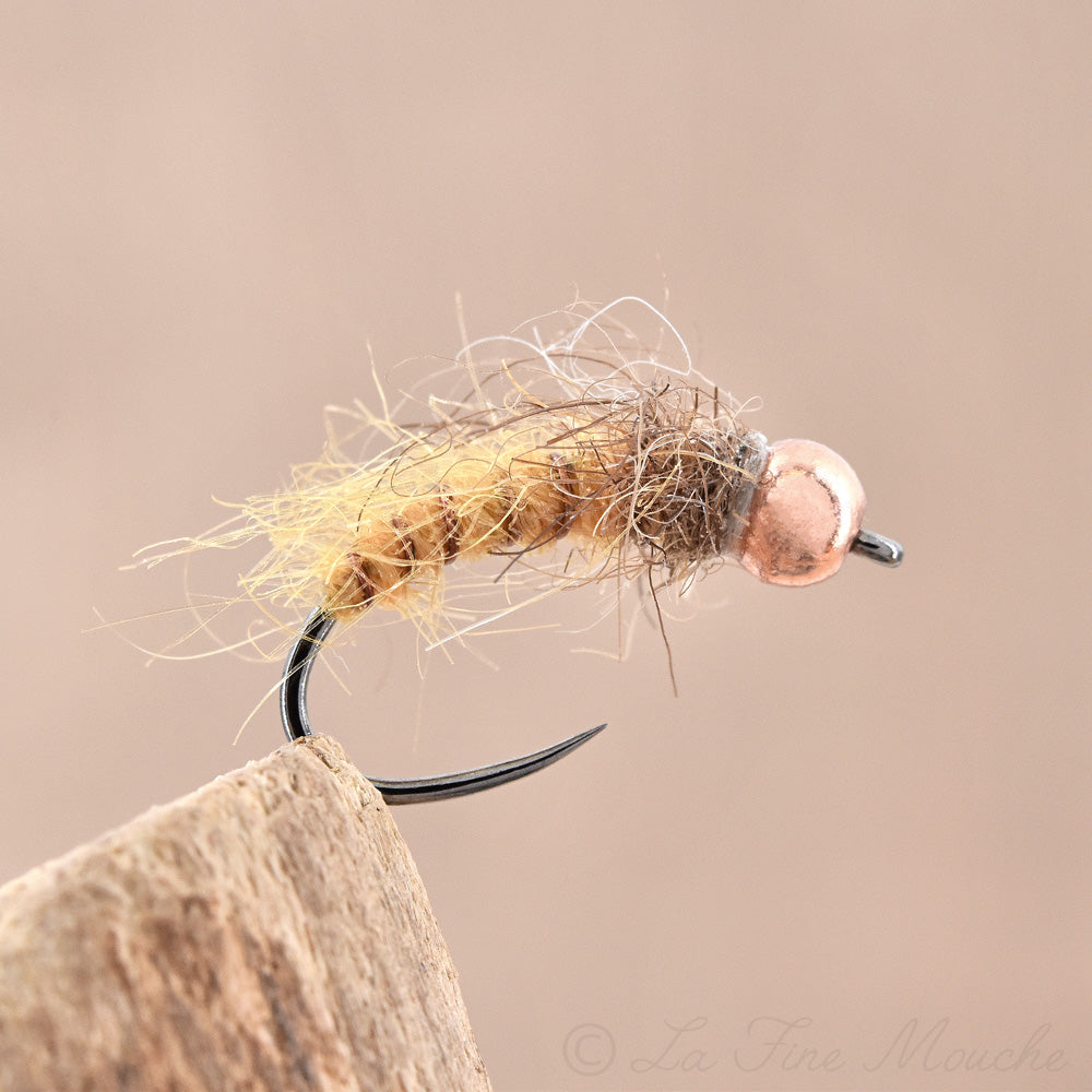 Nymphe Pupae Original