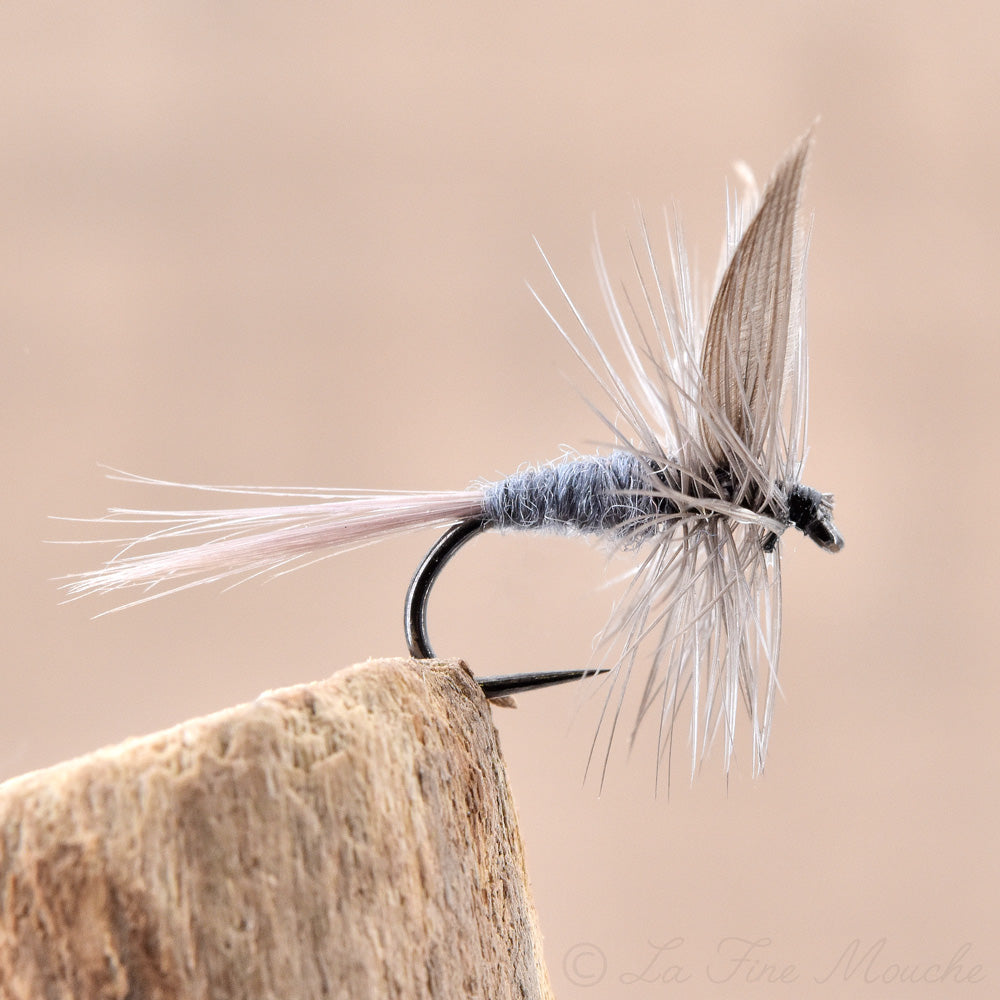 mouche seche blue dun