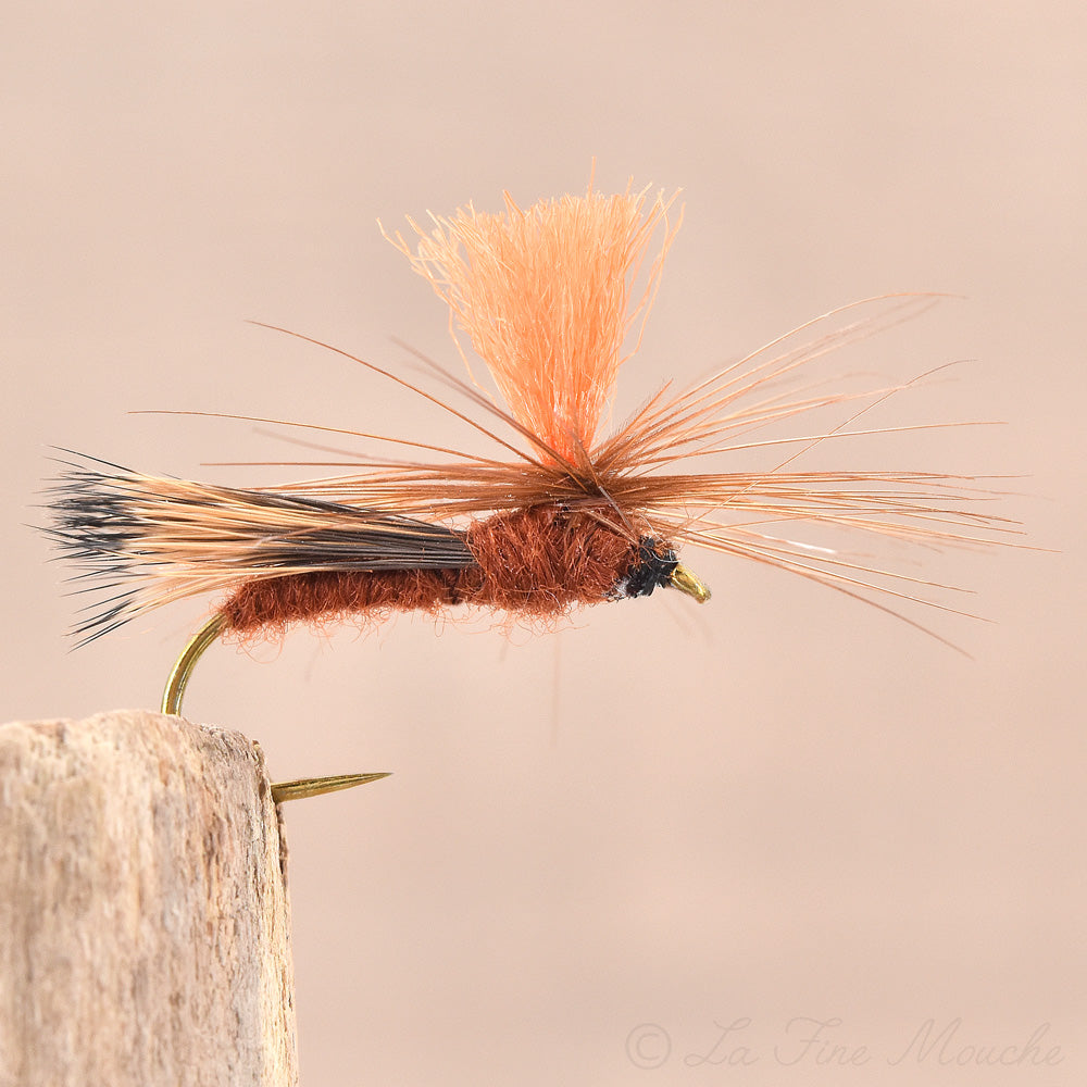 Mouche Sèche - High Vision Parachute Caddis Brown