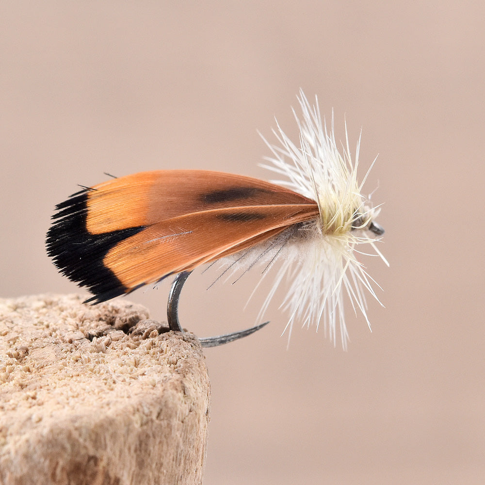 Dry Fly - Sedge CDC Classic Natural