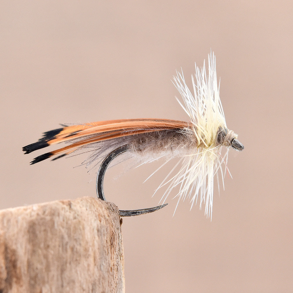Dry Fly - Sedge CDC Classic Natural