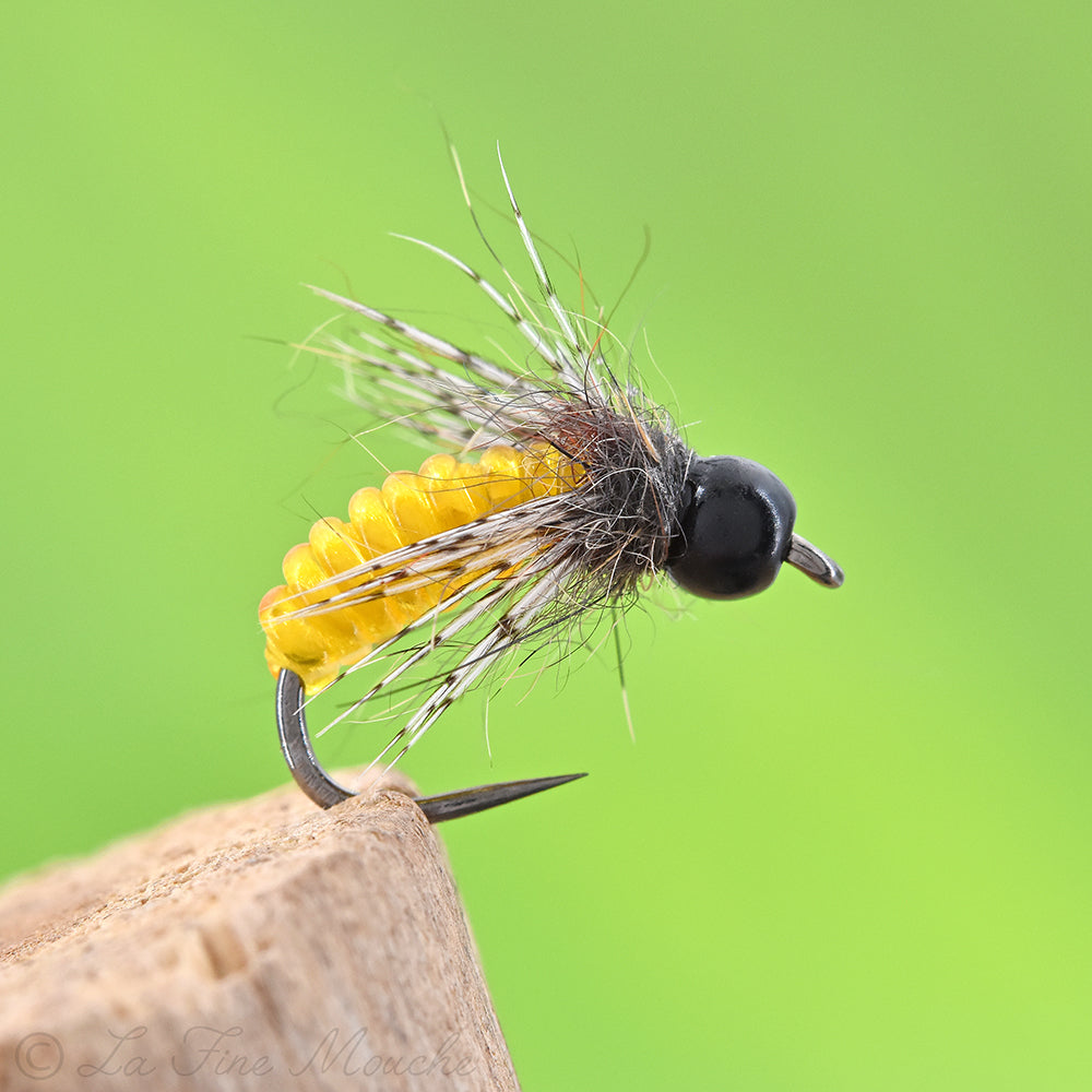 Nymphe - Caddis Pupa Yellow - Schwarzer Kopf