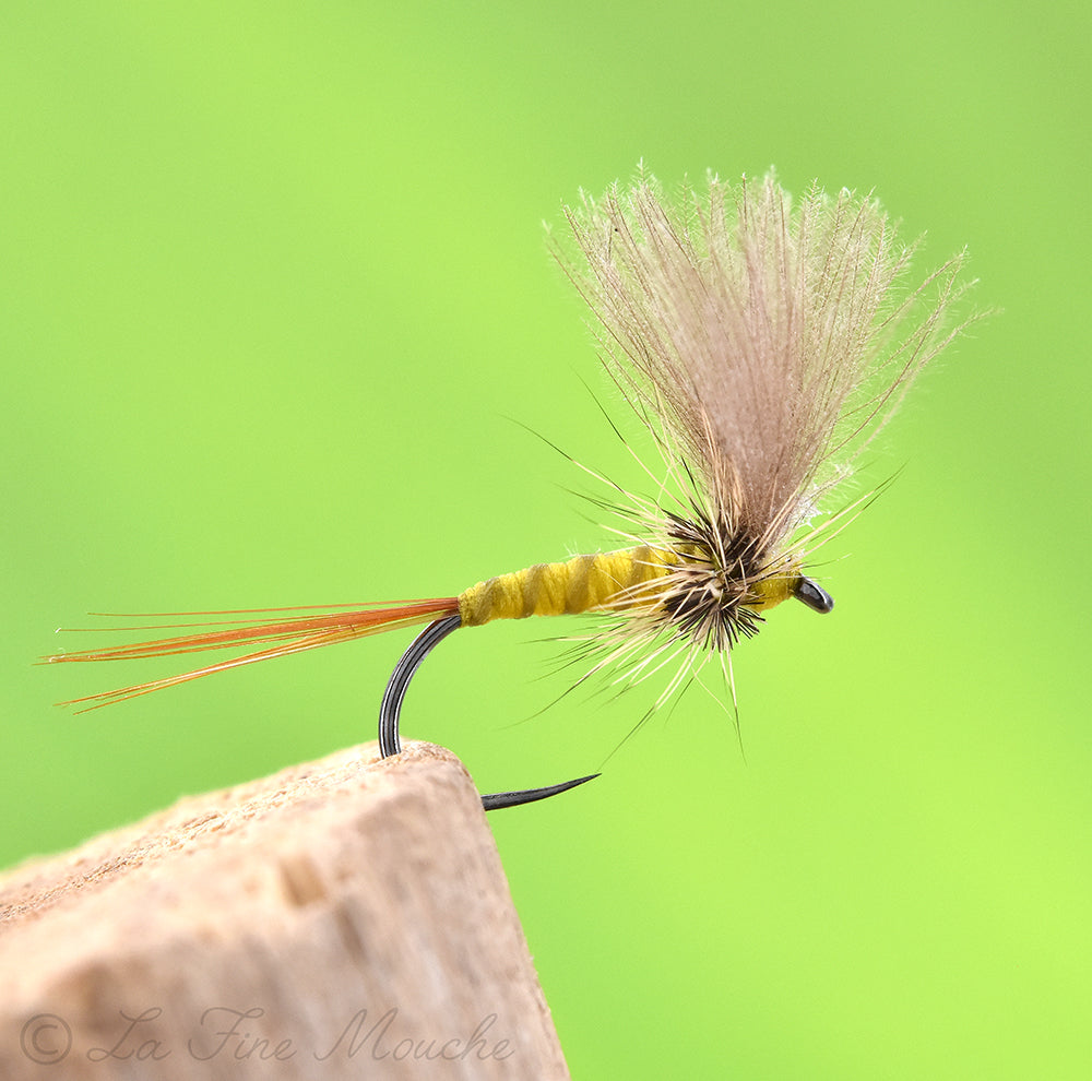Trockenfliege - CDC Yellow Dun