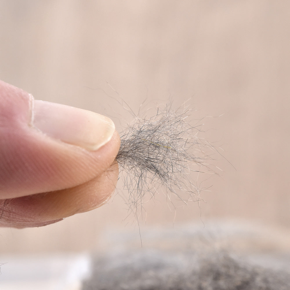 Boîte de 5 Dubbings Premium : Lièvre, Écureuil et Marmotte