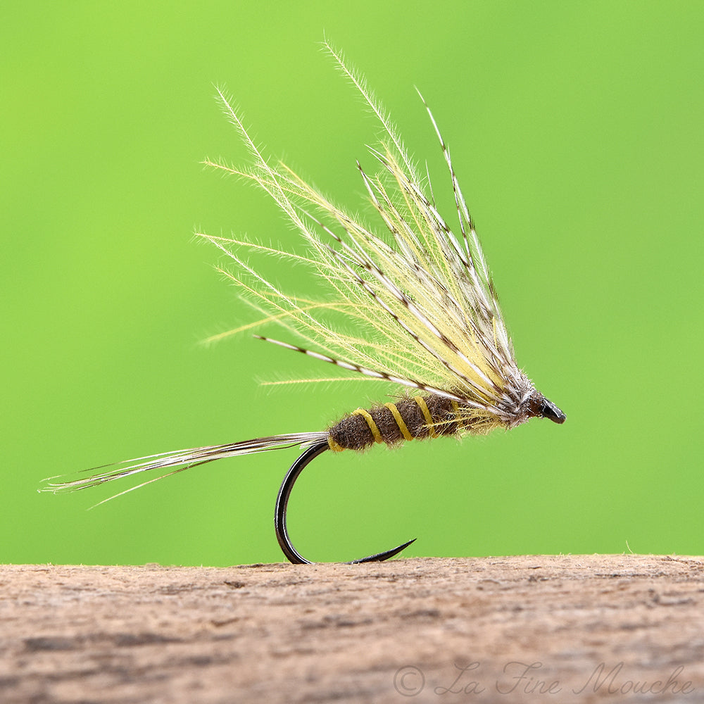 Mosca Seca - Ephemera VULGATA CDC