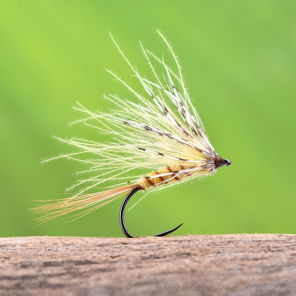 Dry Fly - Mayfly