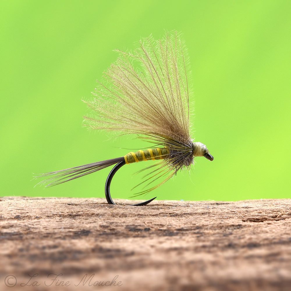 F-Dun CDC Pale Olive - Ignita / Baetis - Trockenfliege