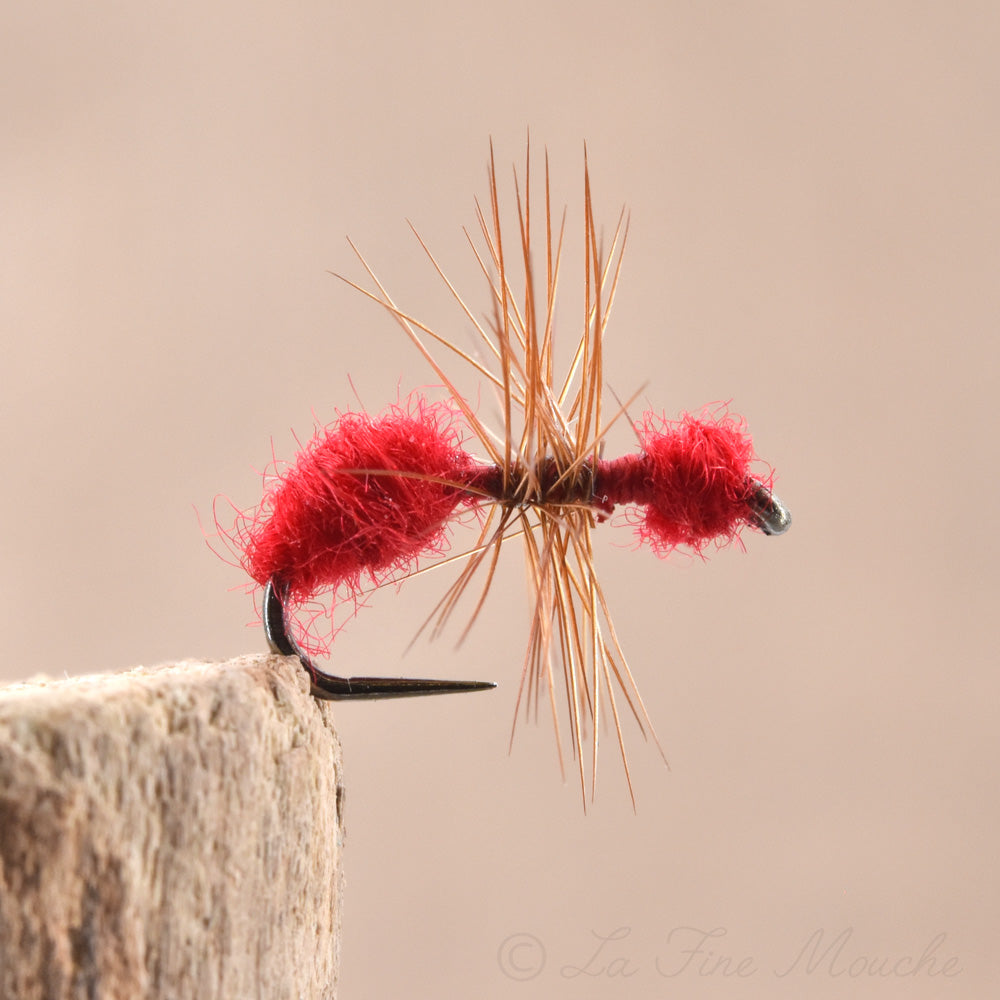 Mouche Sèche - Fourmis Rouge