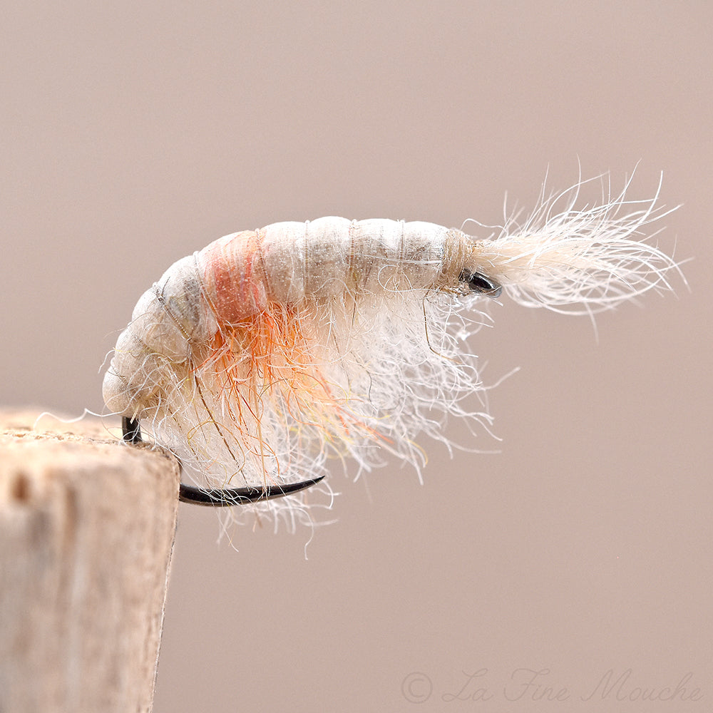 Gammarus - Branco Creme e Laranja
