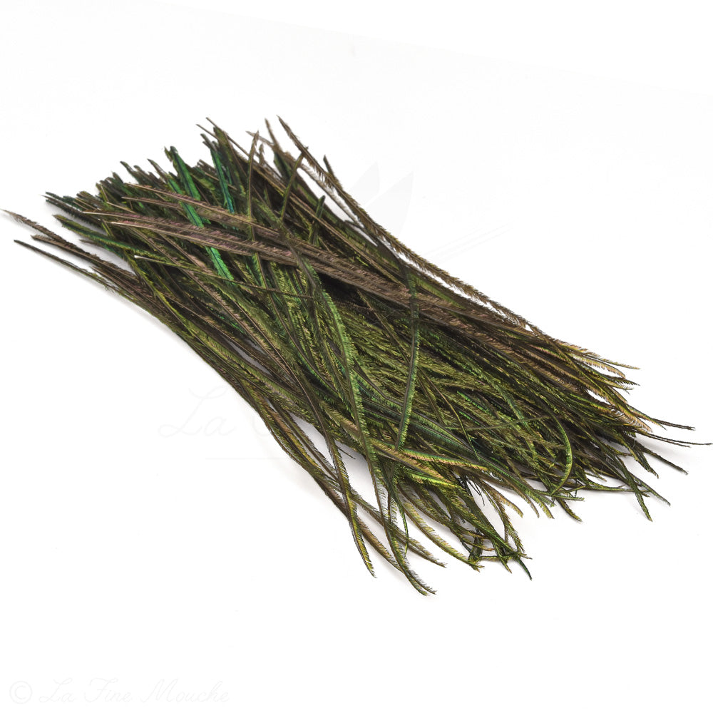 Herl de paon premium trié à la main pour mouche