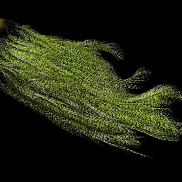 Mayfly Tail - Rooster Hackle Feathers for Tails - Hends