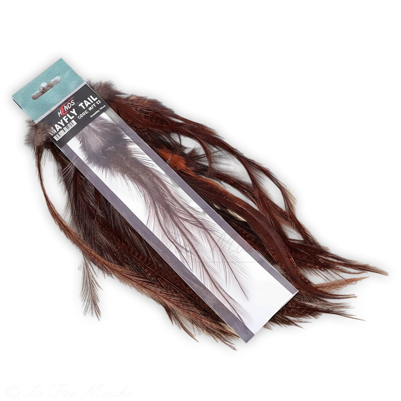 Mayfly Tail Lancettes de Coq pour Cerques