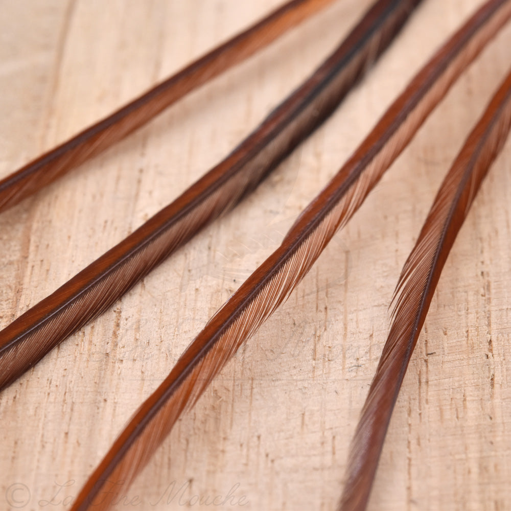 Genetic Rooster Saddle Hackles - For Dry Fly Tying