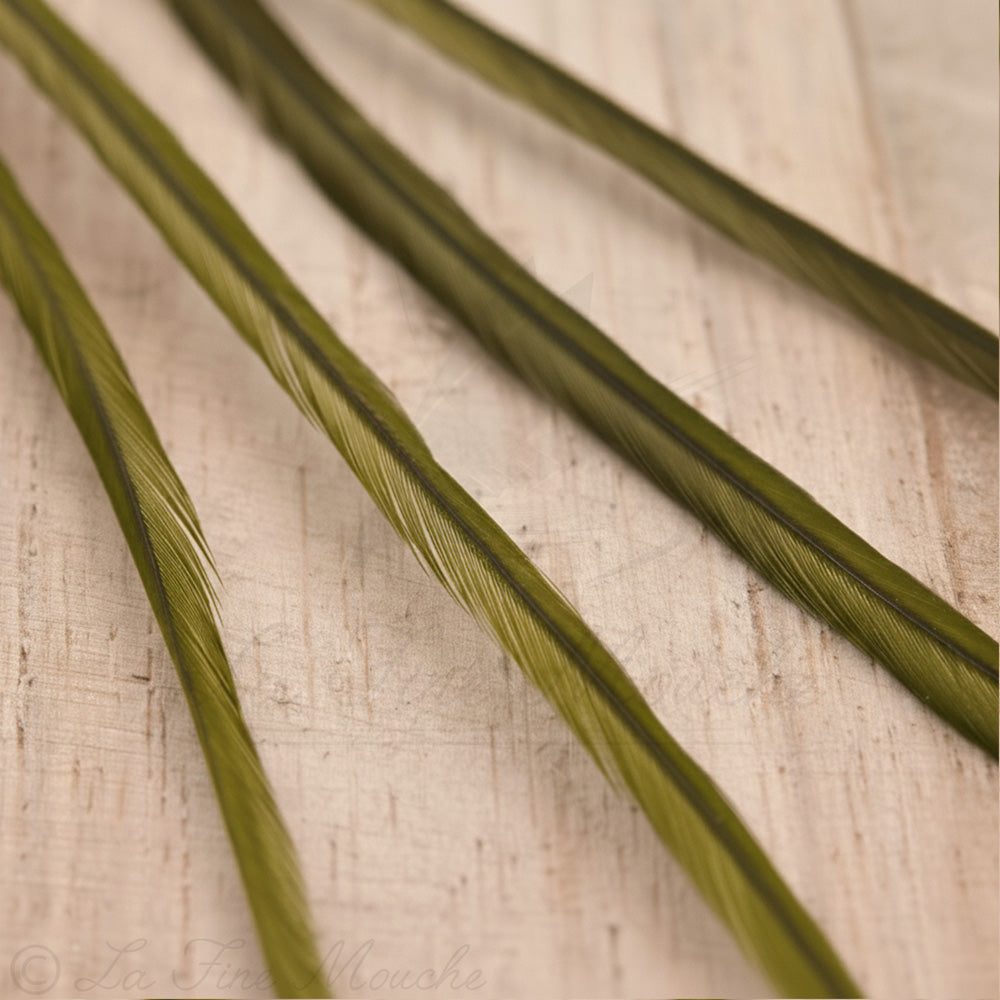 Genetic Rooster Saddle Hackles - For Dry Fly Tying